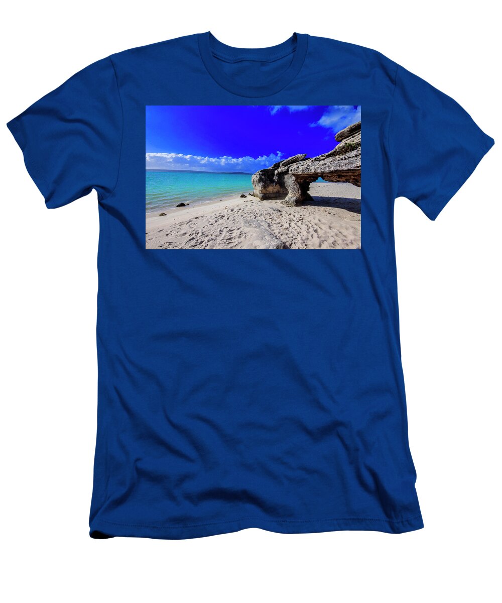 012 Zelda Lichtenstein T-Shirt