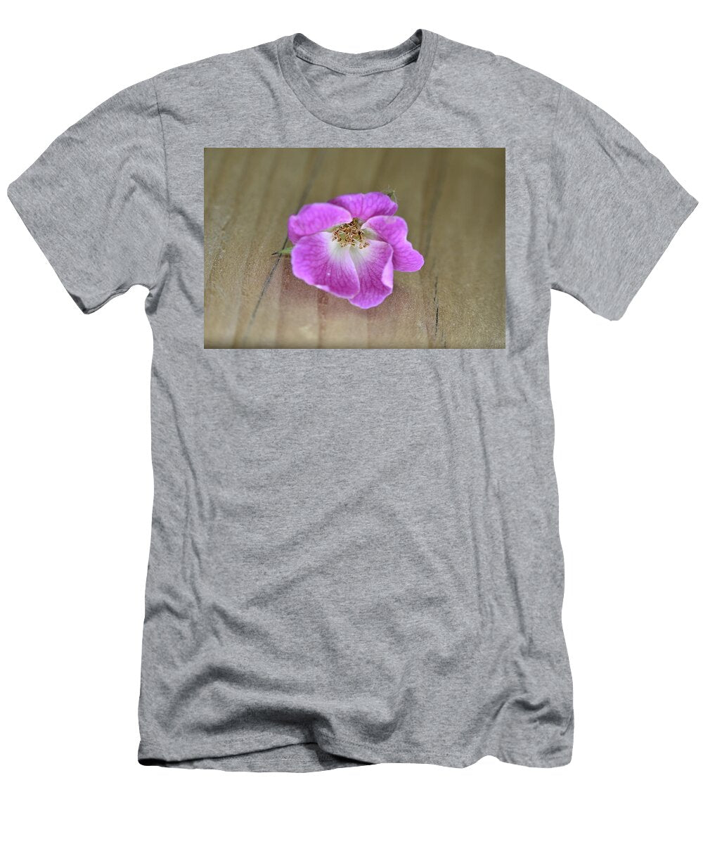 1 a Beautiful Closeup Photograph of a Pink Rose Sudip Jotshi T-Shirt