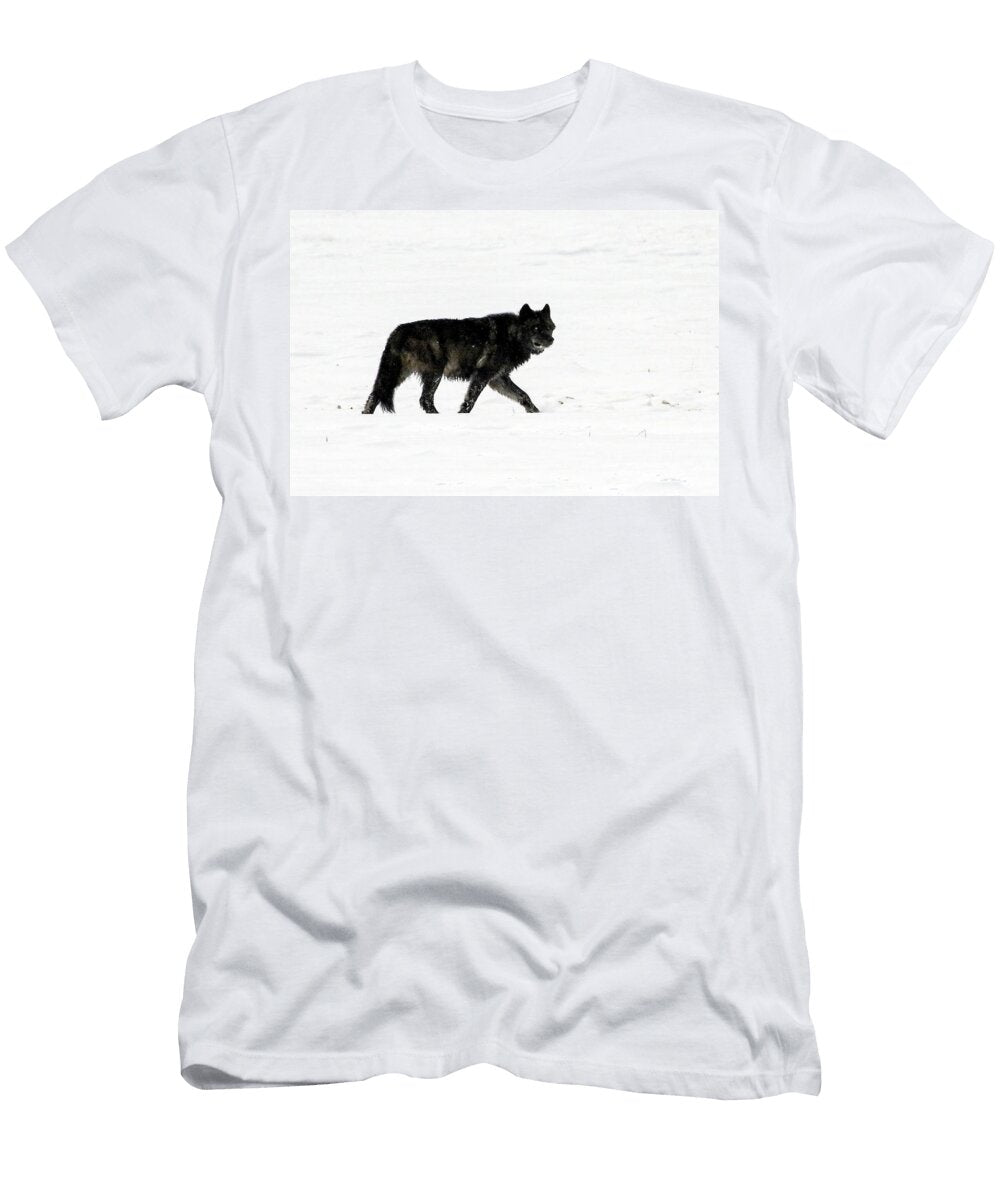 1 Alpha Julie Argyle T-Shirt