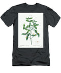 1 American Strawberry From Traite Des Arbres Et Arbustes Que Lon Cultive En France En Pleine Terre 1 Pierre Joseph Redoute T-Shirt
