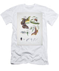 1 Australian Butterflies Unknown T-Shirt