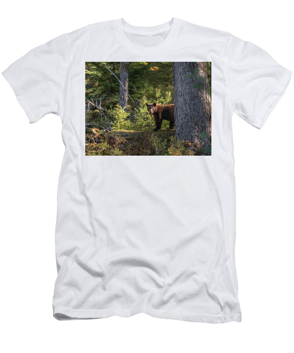 1 Bear David Kirby T-Shirt