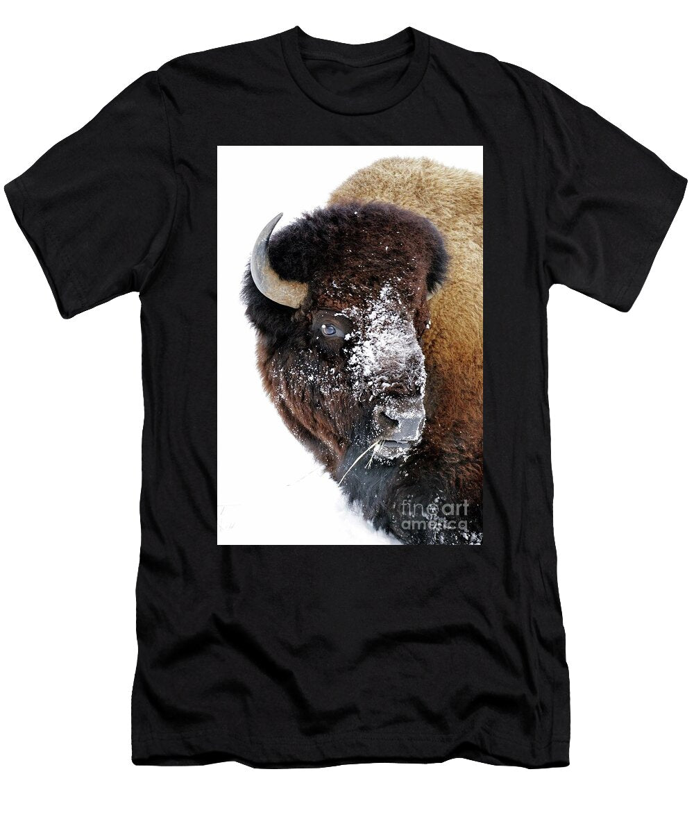 1 Bison Julie Argyle T-Shirt