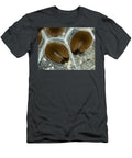 1 Biting Midge Eggs Ceratopogonidae Sp Rubn Durobiomedia Associates Llc T-Shirt