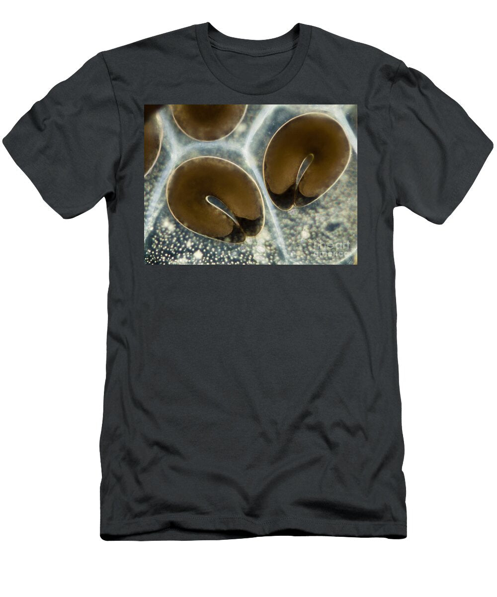 1 Biting Midge Eggs Ceratopogonidae Sp Rubn Durobiomedia Associates Llc T-Shirt