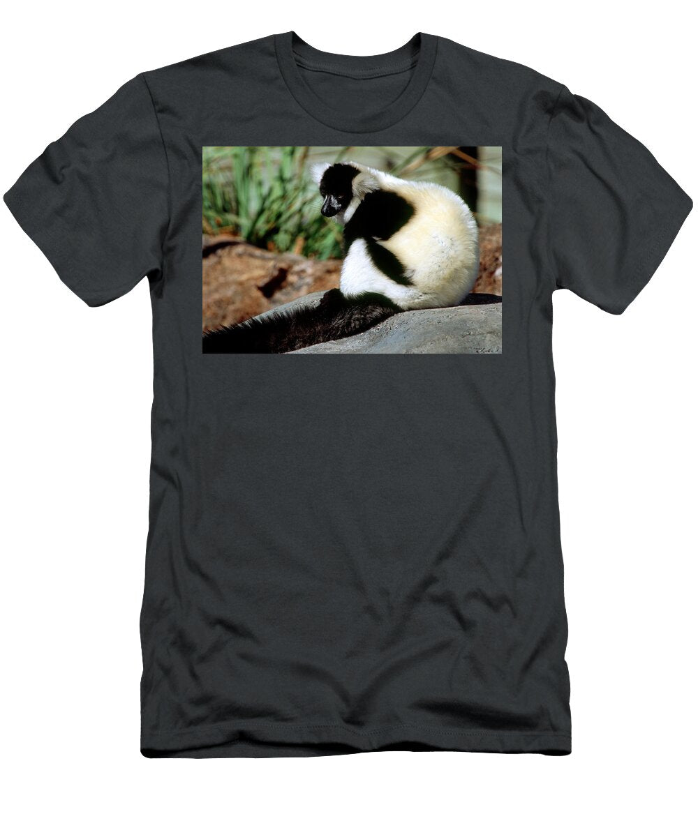 1 Black and White Ruffed Lemur Millard H Sharp T-Shirt