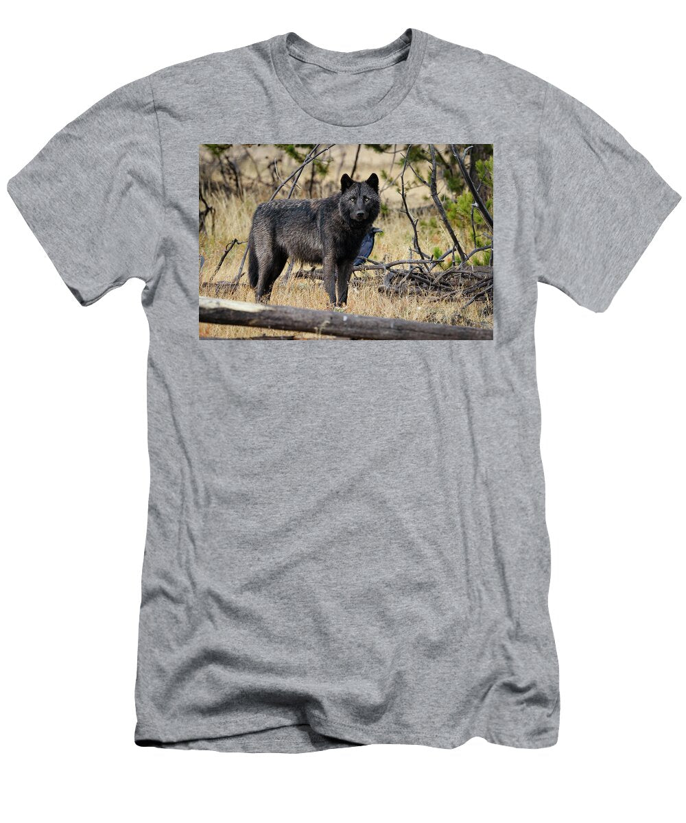 1 Black Wolf Julie Argyle T-Shirt