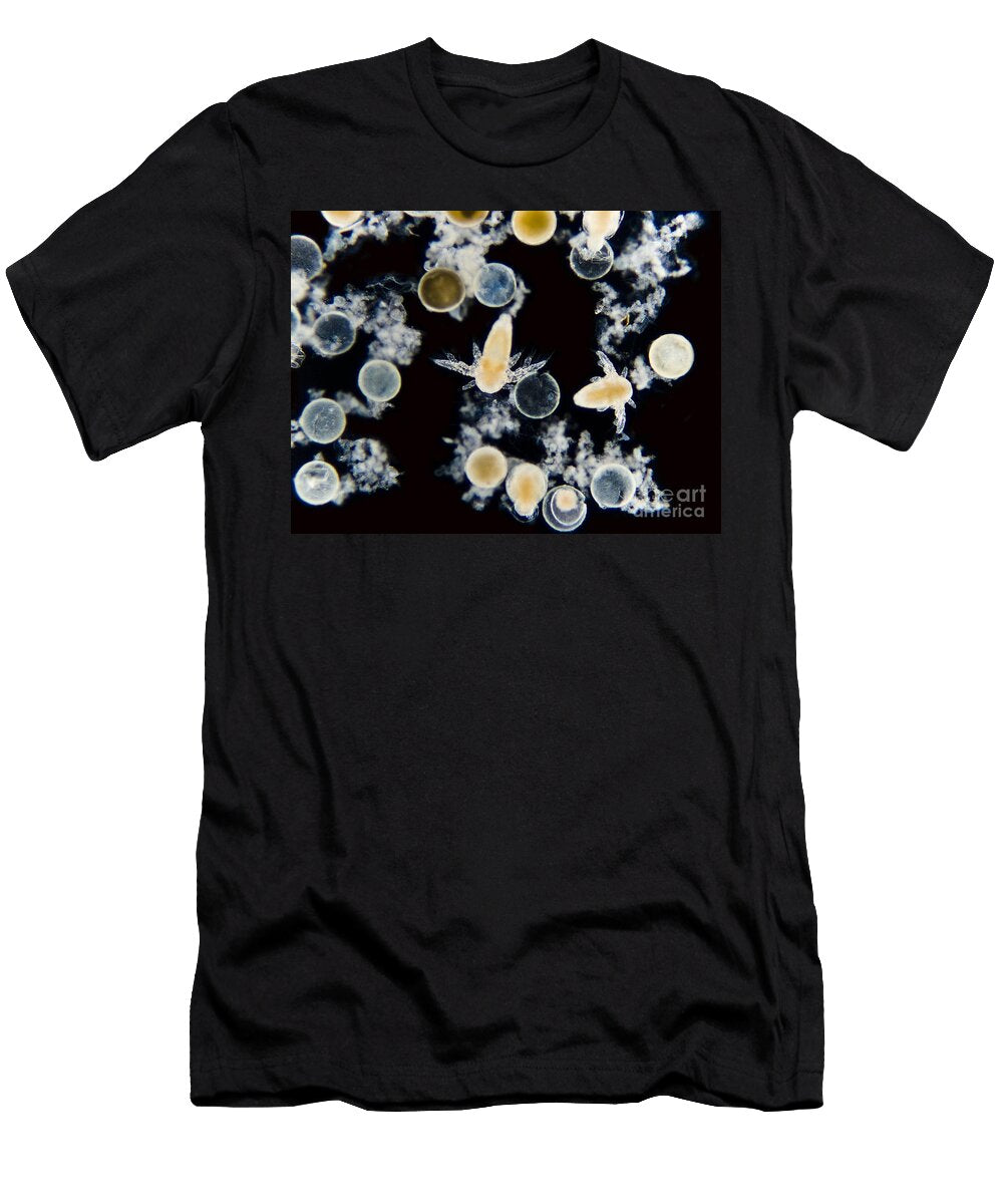 1 Brine Shrimp Artemia Salina Lm Rubn Durobiomedia Associates Llc T-Shirt