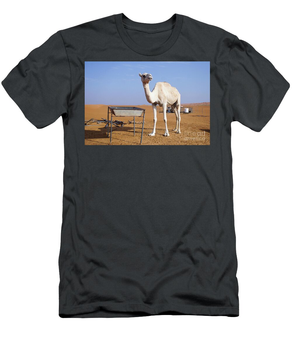 1 Camel in the Desert Tom Gowanlock T-Shirt
