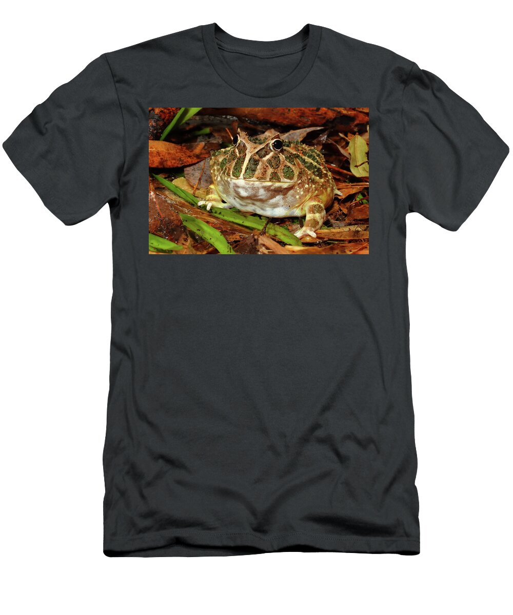 1 Chaco Horned Frog Michael Redmer T-Shirt