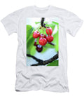 1 Cherries on the Tree Mario Matassa T-Shirt