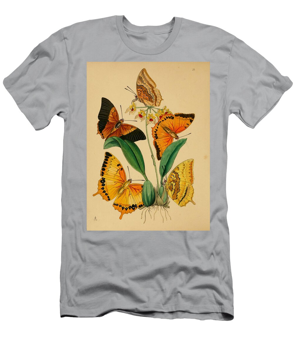 1 Chinese Butterflies 1847 Unknown T-Shirt