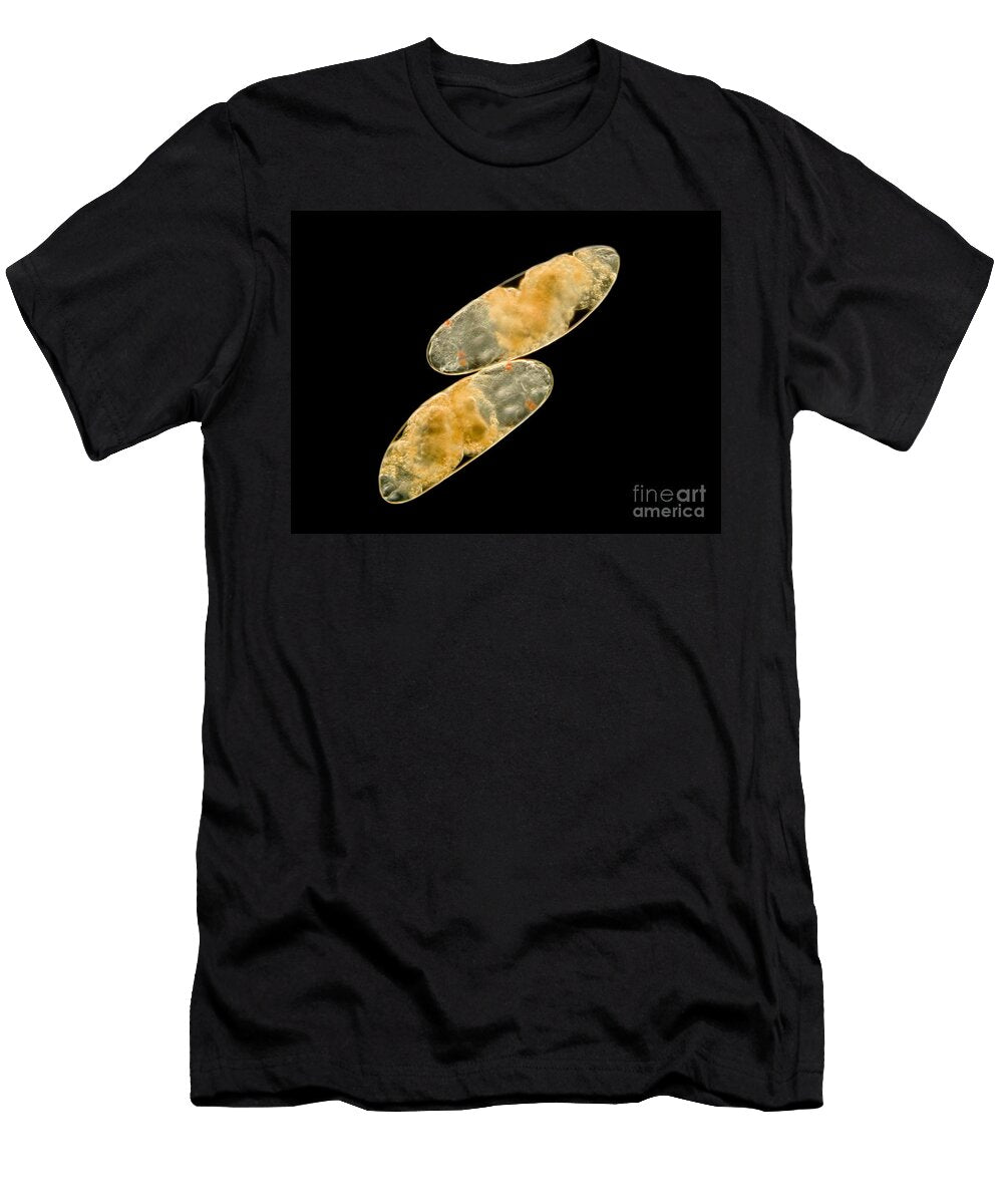 1 Chironomid Eggs Lm Rubn Durobiomedia Associates Llc T-Shirt