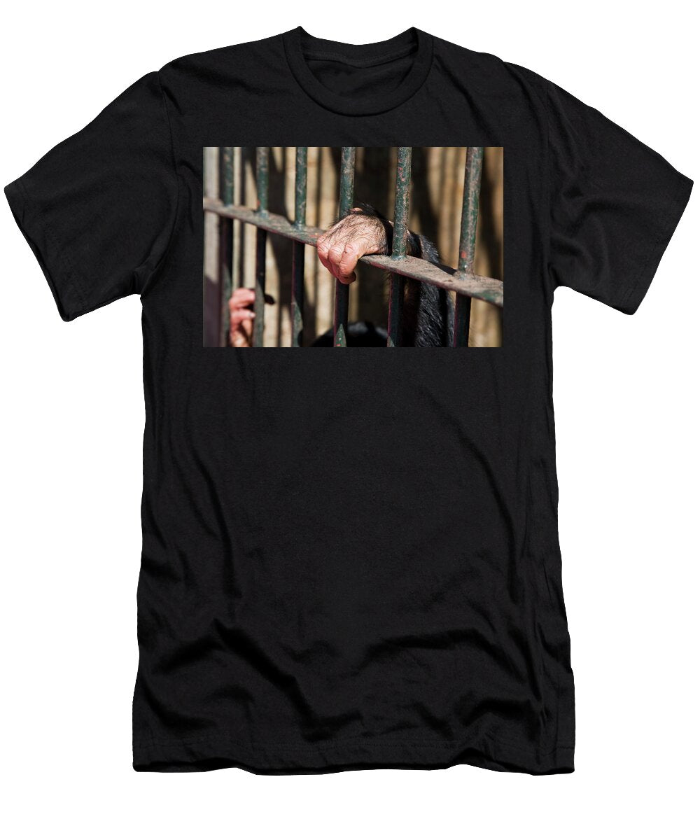 1 Close Up of Chimpanzees Hand Clutching Bars of Enclosure Doug Allan Natureplcom T-Shirt