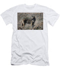 1 Coyote Julie Argyle T-Shirt