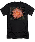 1 Crimson Anemone Browning Pass Queen Charlotte Strait David Hall Natureplcom T-Shirt