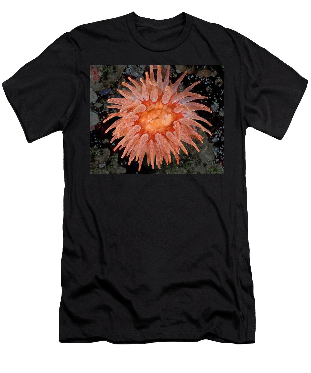 1 Crimson Anemone Browning Pass Queen Charlotte Strait David Hall Natureplcom T-Shirt
