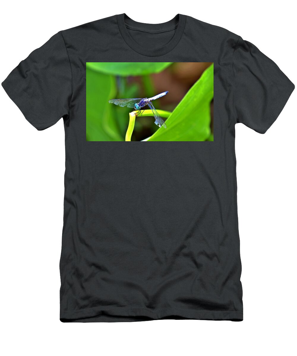 1 Dragonfly Al Mack T-Shirt
