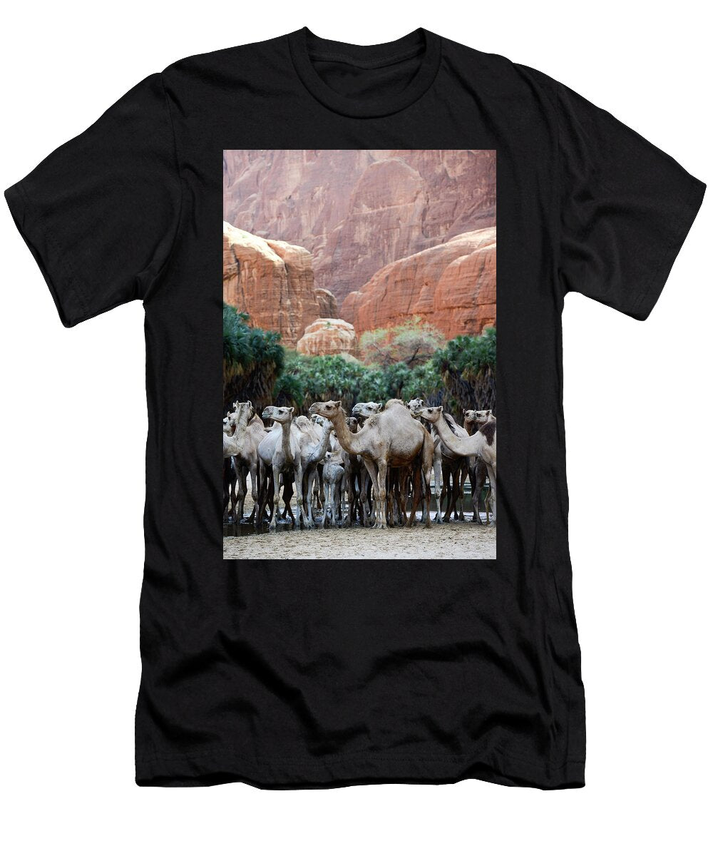1 Dromedary Camels in a Gorge with Water and Trees on the Enrique Lopez Tapia Natureplcom T-Shirt