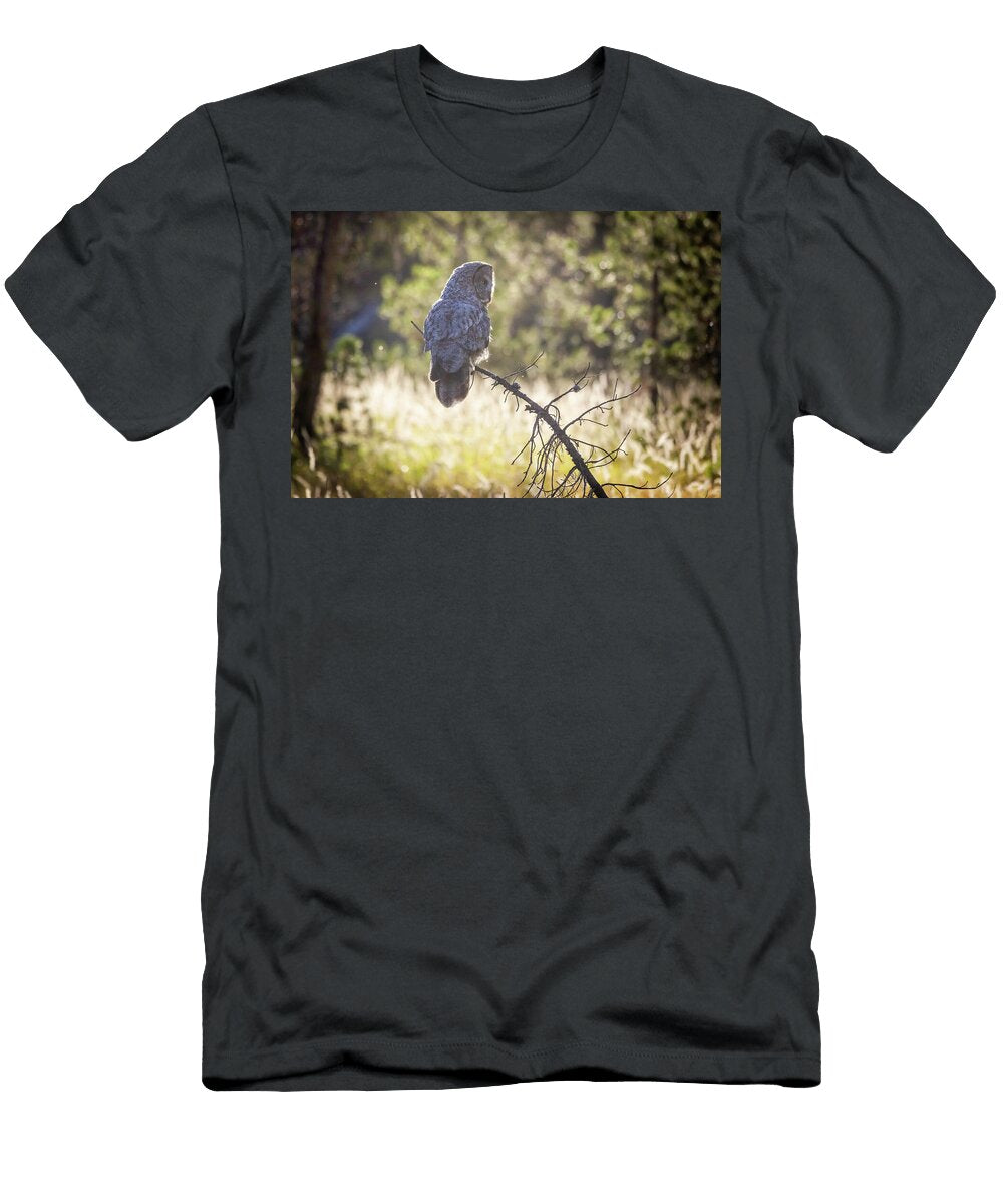 1 Enchanted Julie Argyle T-Shirt