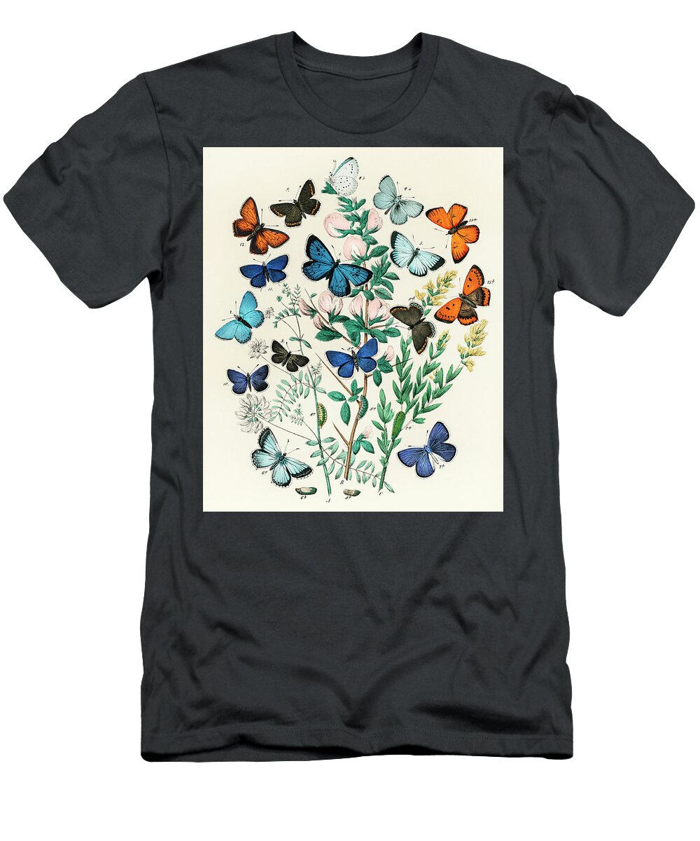 1 European Butterflies and Moths William Forsell Kirby T-Shirt
