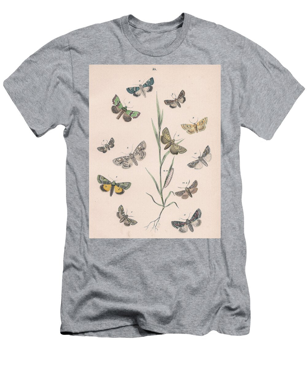 1 European Butterflies Ans Moths W F Kirby T-Shirt