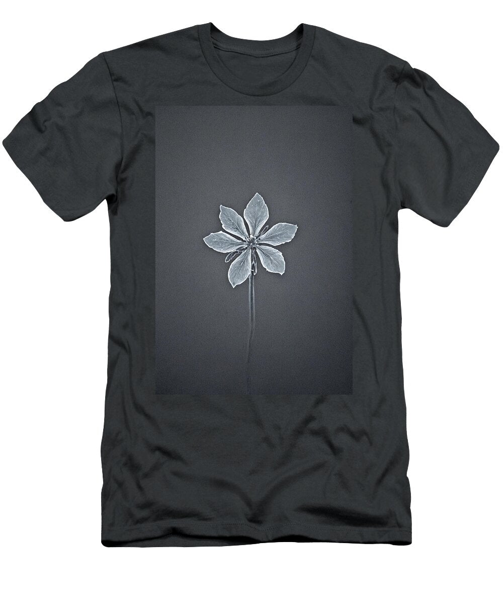 1 Fade to Grey My Head Cinema T-Shirt