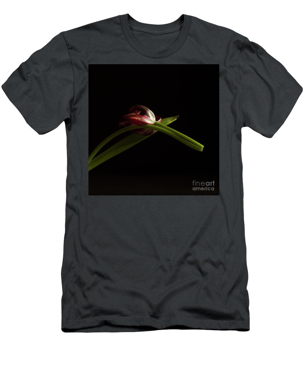 1 Faded Red Tulip Bernard Jaubert T-Shirt