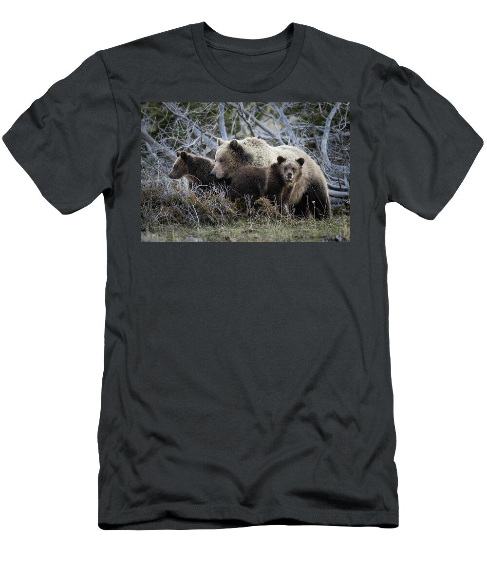 1 Family Julie Argyle T-Shirt