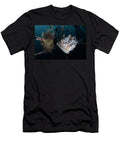 1 Female Whitespotted Pygmy Filefish Tending to a Clutch of Tony Wu Natureplcom T-Shirt