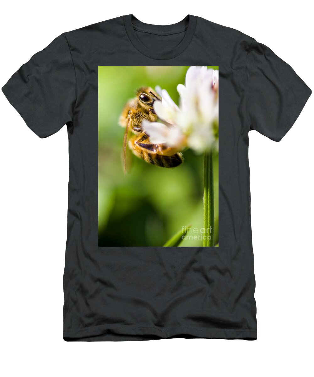 1 Flora and Fauna Ryan Jorgensen T-Shirt