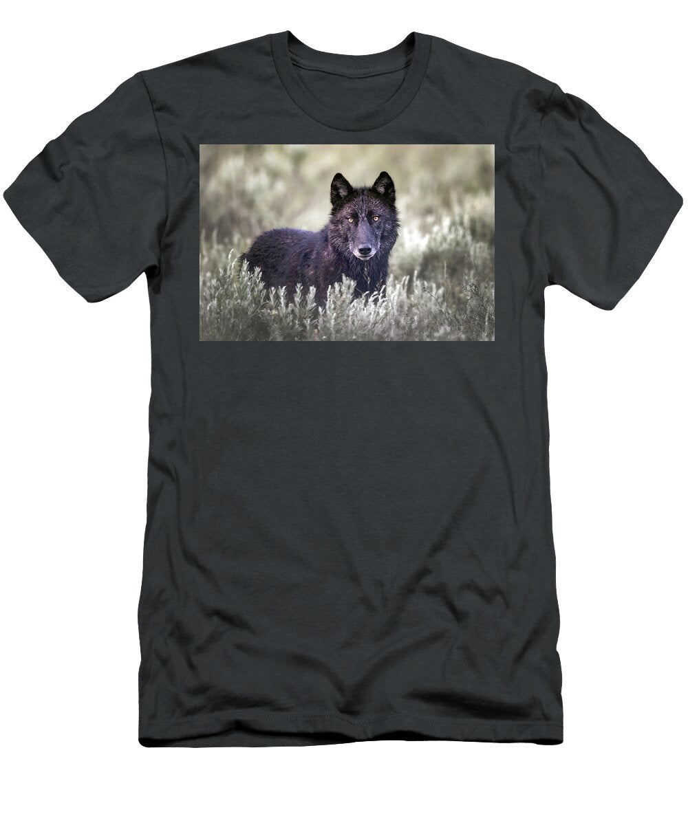 1 Framed Julie Argyle T-Shirt