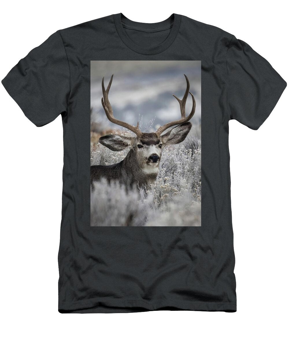 1 Frosted Julie Argyle T-Shirt