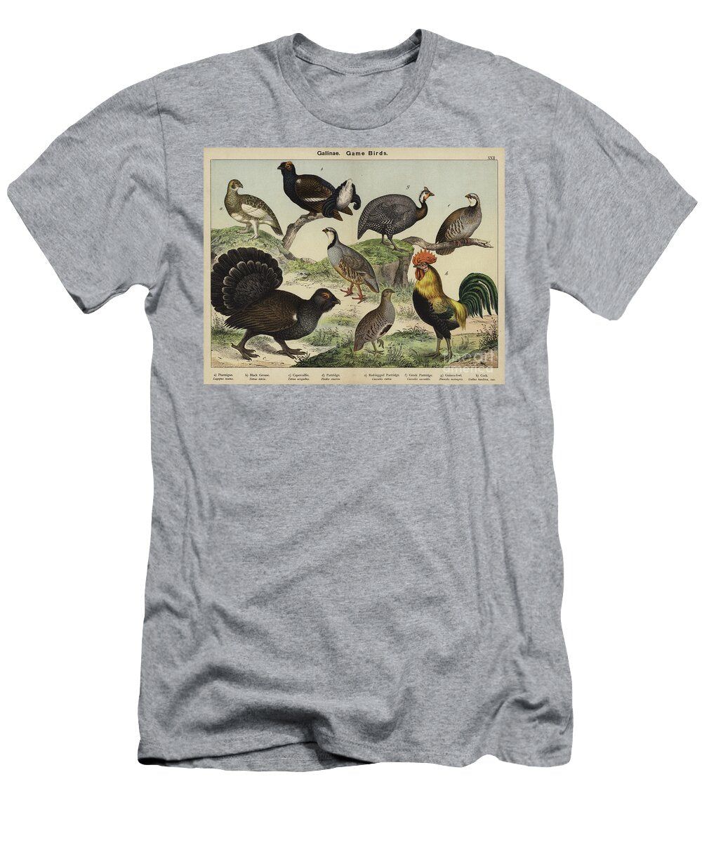 1 Gallinae Game Birds European School T-Shirt