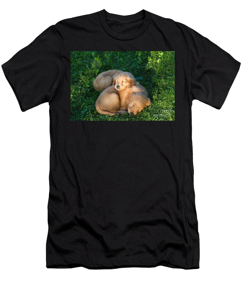 1 Golden Retriever Puppies Sleeping Linda Freshwaters Arndt T-Shirt