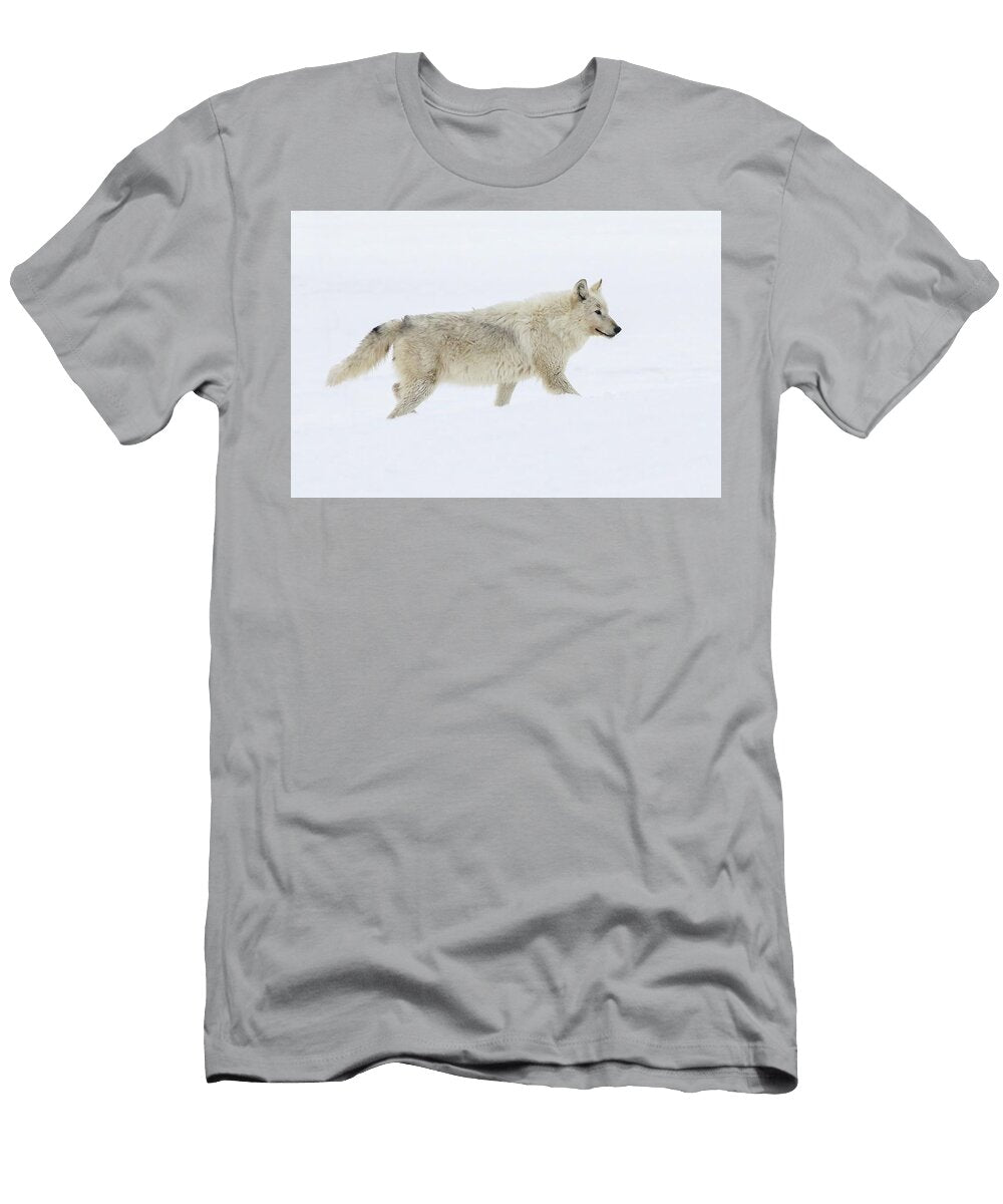 1 Grace Julie Argyle T-Shirt