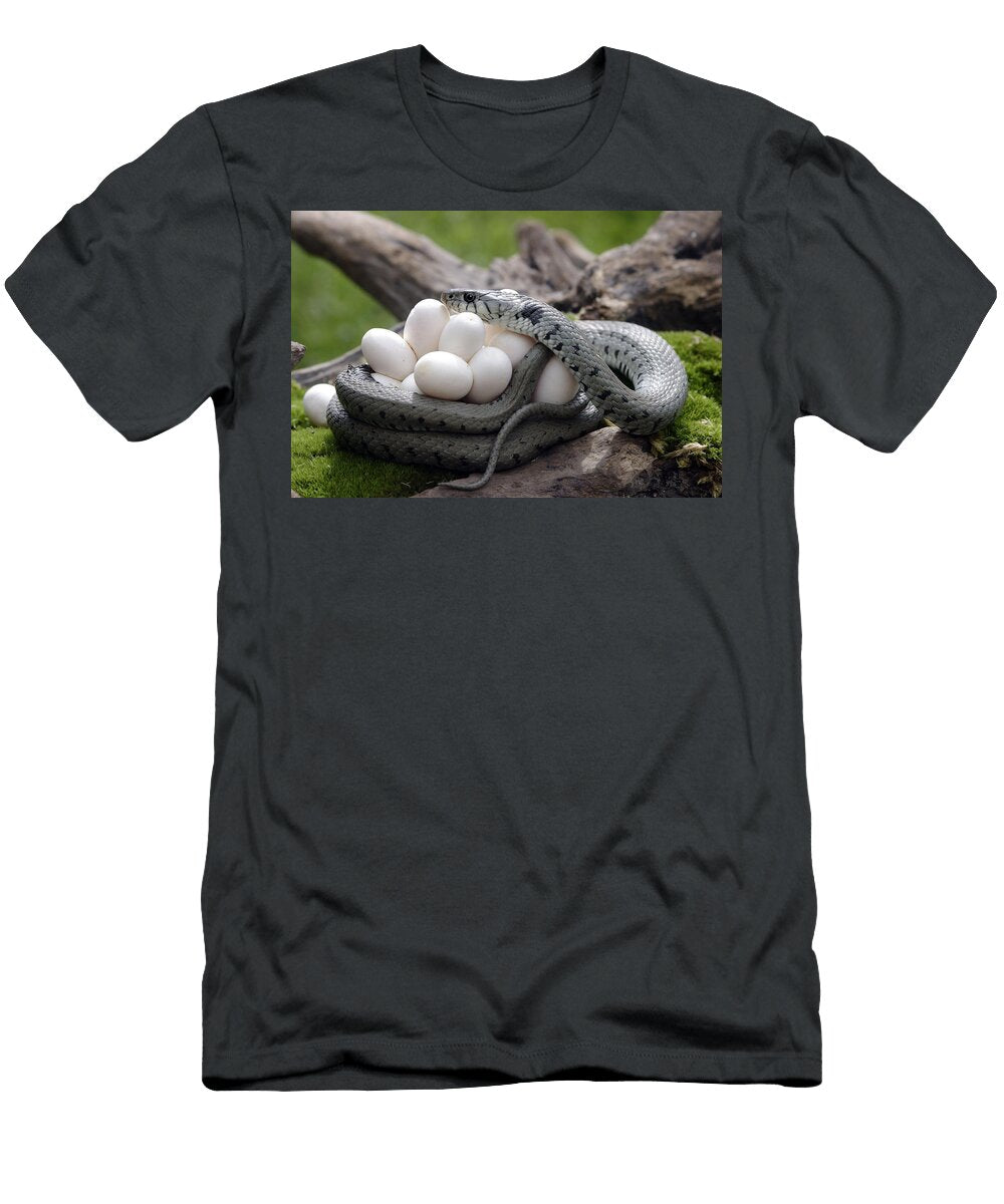 1 Grass Snake with Eggs M Watson T-Shirt