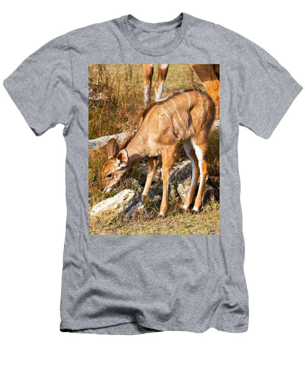 1 Greater Kudu Calf Millard H Sharp T-Shirt