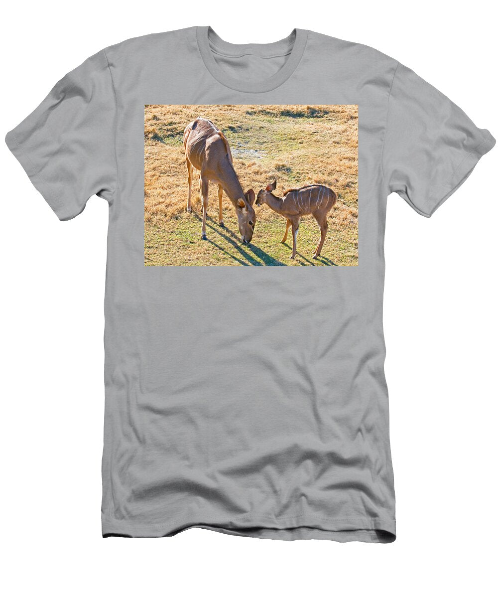 1 Greater Kudu Mother and Calf Millard H Sharp T-Shirt