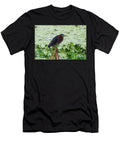1 Green Heron Clutching a Reed Carol Vandenbelt T-Shirt