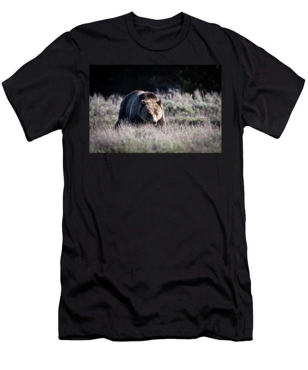 1 Grizzly Julie Argyle T-Shirt