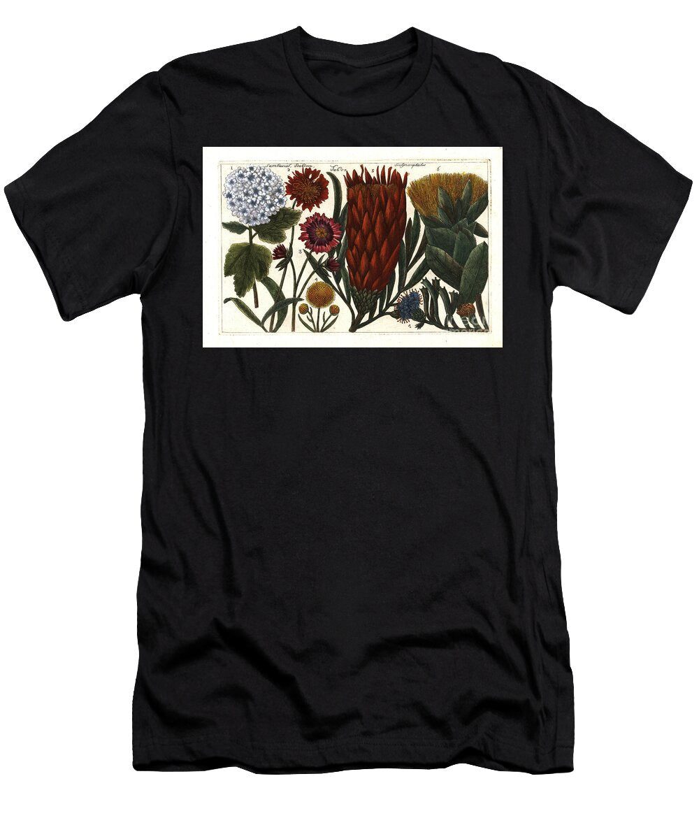 1 Guelder Rose Viburnum Opulus European School T-Shirt
