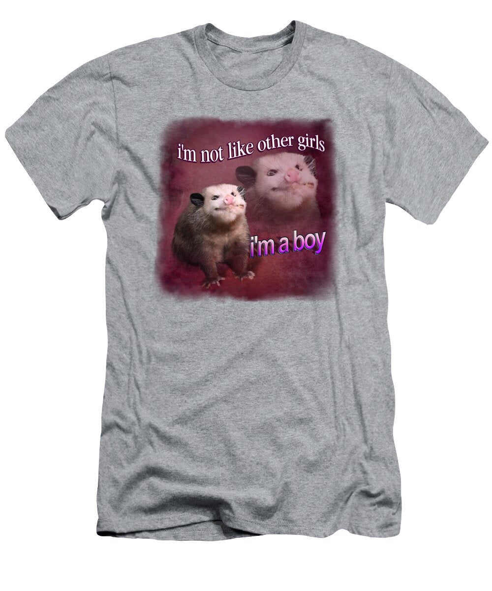 1 I Am Not Like Other Girls Isaak Fahrmann T-Shirt