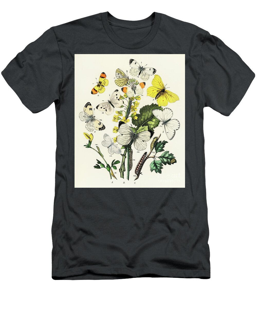 1 Illustrations From the Book European Butterflies and Moths By William Forsell Kirby Word Fandom T-Shirt