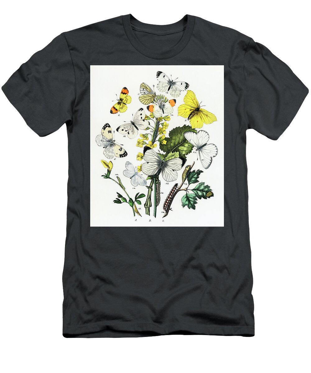 1 Kaleidoscope of Fluttering Butterflies and Caterpillars William Forsell Kirby T-Shirt