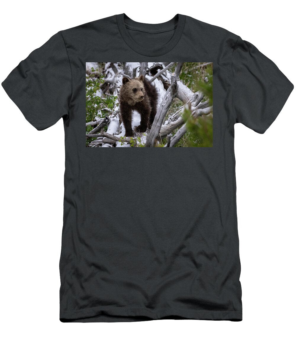 1 Little Bear Julie Argyle T-Shirt