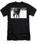 1 Mesmerized Julie Argyle T-Shirt