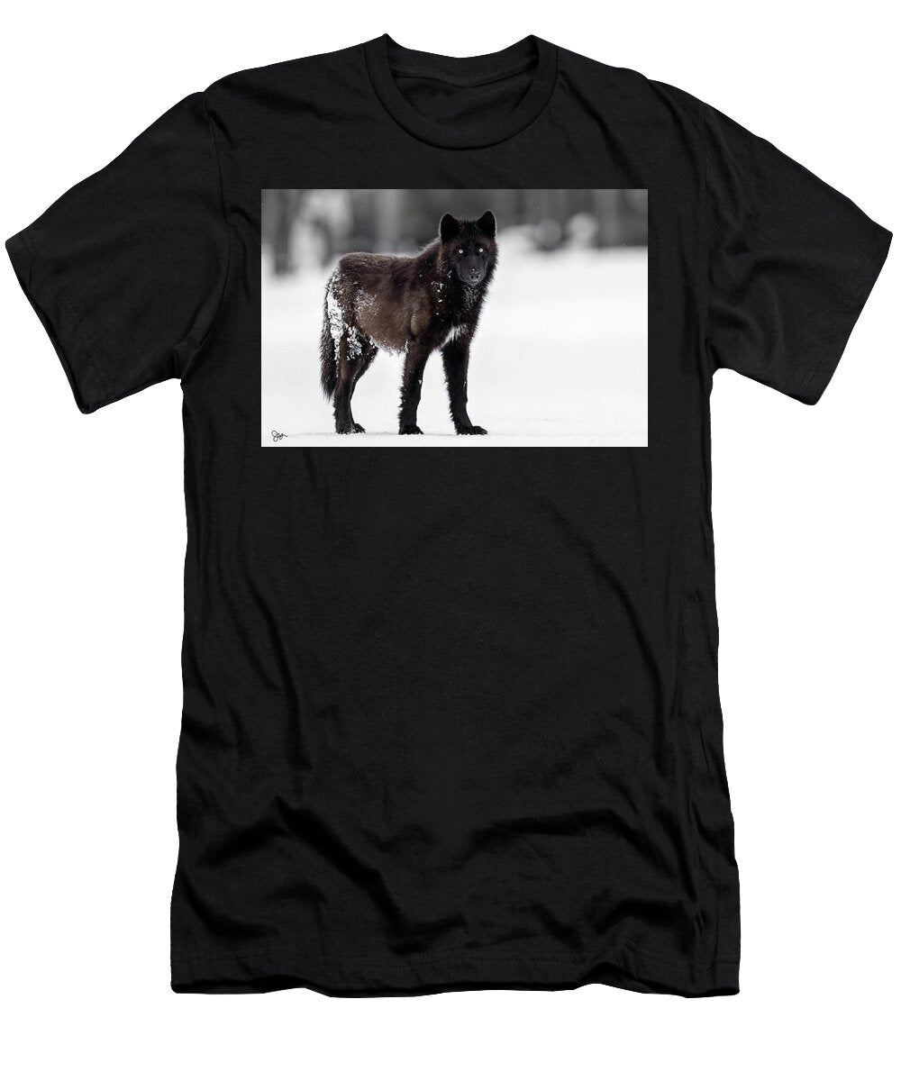 1 Mesmerized Julie Argyle T-Shirt