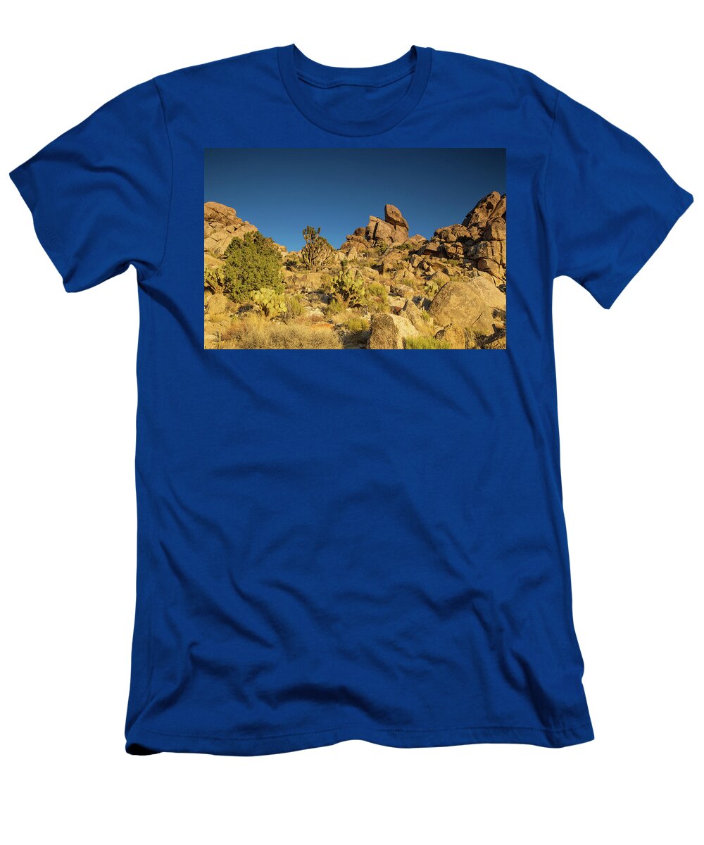 1 Mojave Colors Kunal Mehra T-Shirt