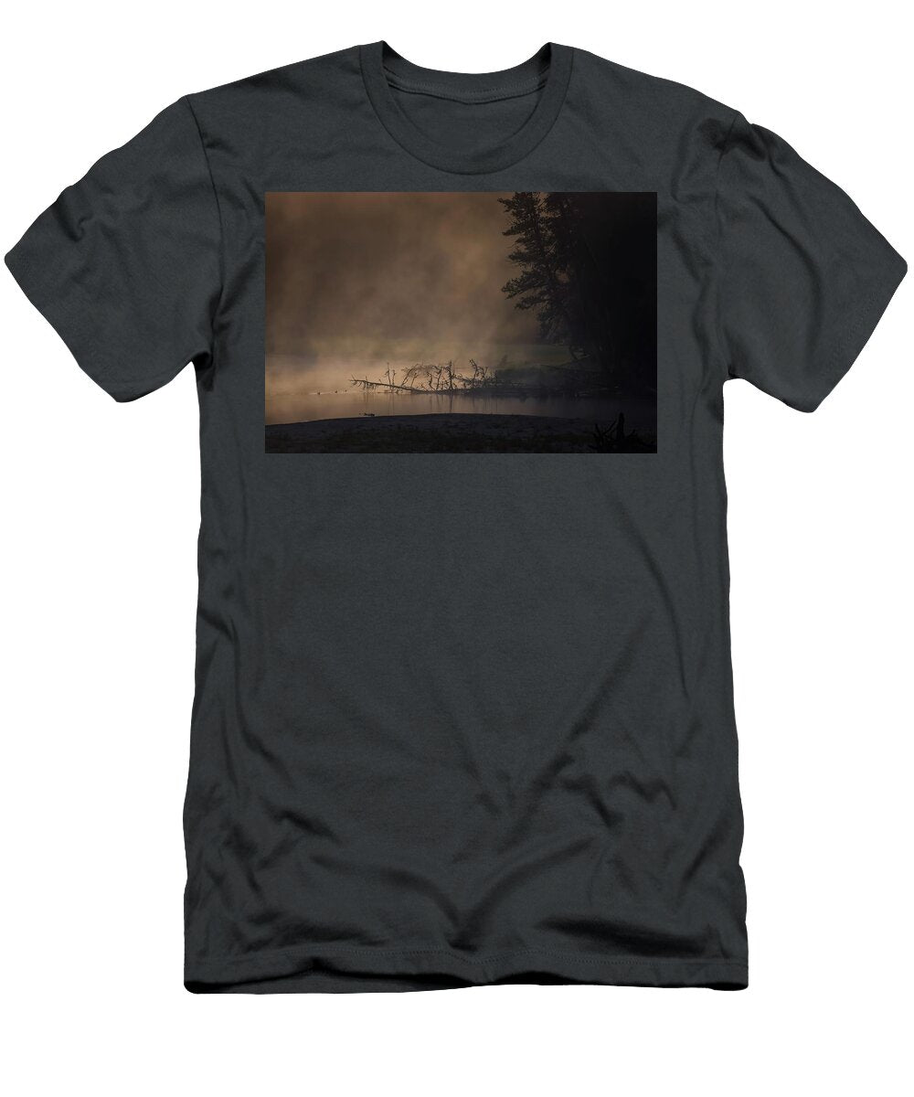 1 Mysterious Julie Argyle T-Shirt